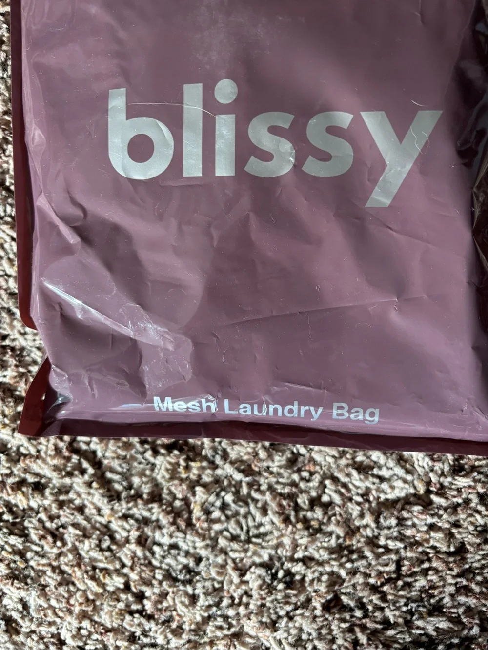 Blissy Mesh Laundry Bag - Mauve 2 pack